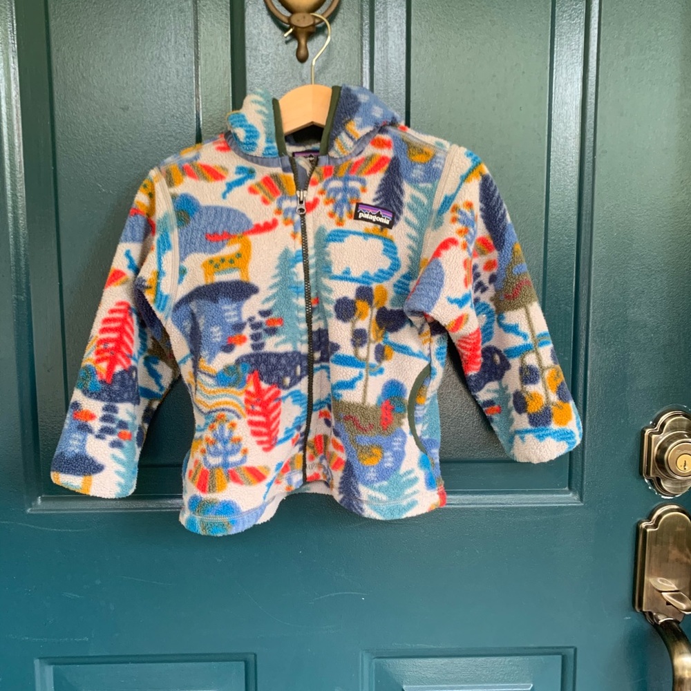 Patagonia synchilla cardigan